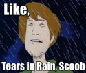 tears in rain scoob.png